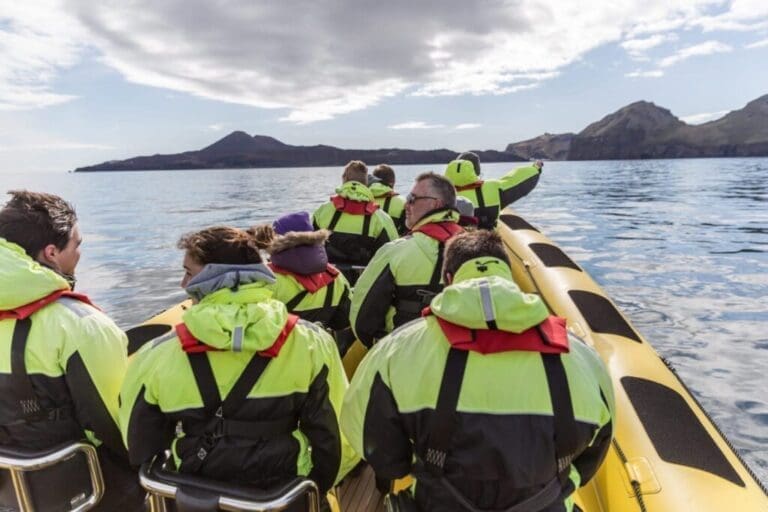 Rib Safari boat tour in Iceland