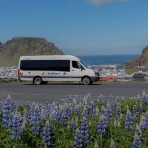 Puffin and Volcano Tour