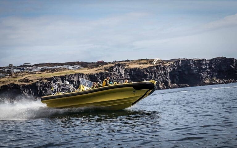 Ribsafari boat tours In Westman Islands