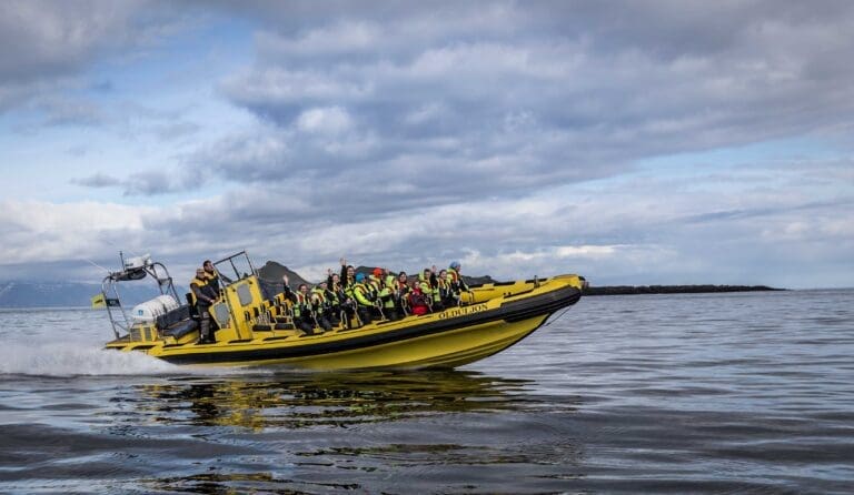 Ribsafari boat tours In Westman Islands