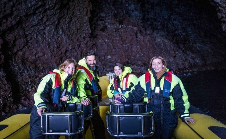 Ribsafari boat tours In Westman Islands