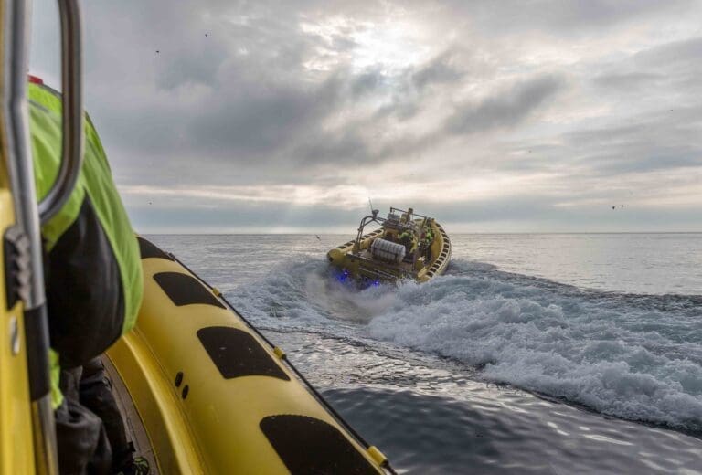 Ribsafari boat tours In Westman Islands