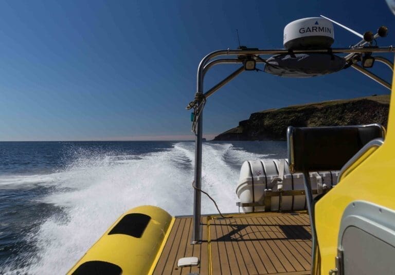 Ribsafari boat tours In Westman Islands