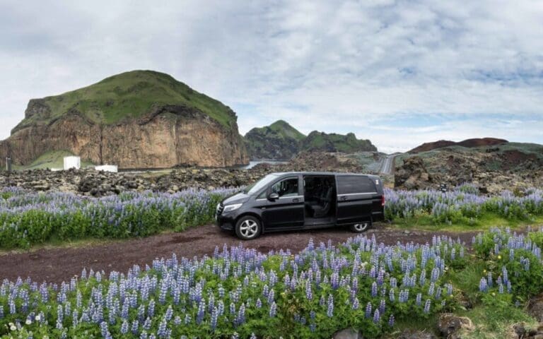 Private Tours in Westman Islands